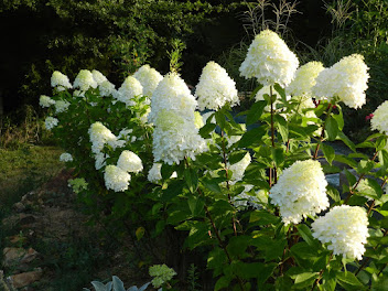 COACH IN THE GARDEN FACEBOOK PAGE