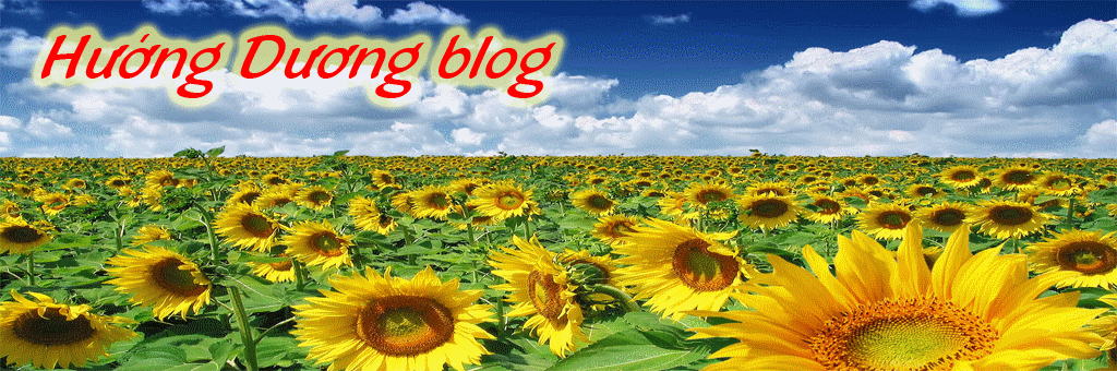 HƯỚNG DƯƠNG'BLOG