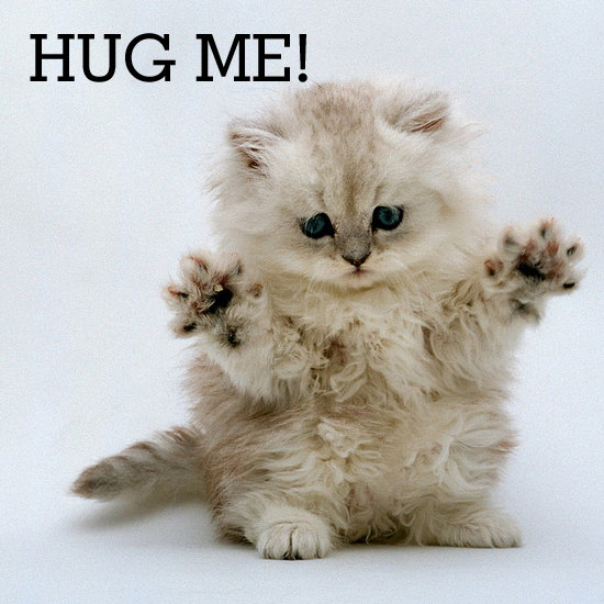 http://3.bp.blogspot.com/-nW3ymMFl-jI/T8zPjCHGg0I/AAAAAAAAGRI/_TFxZHqT9a0/s1600/How-Pamper-Your-Cat-National-Hug-Your-Cat-Day.jpg