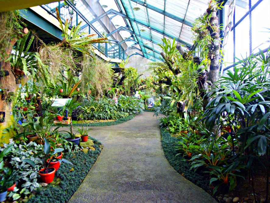 Ternyata Kebun Raya Bogor Punya Rumah Anggrek dan Orchidarium Loh!