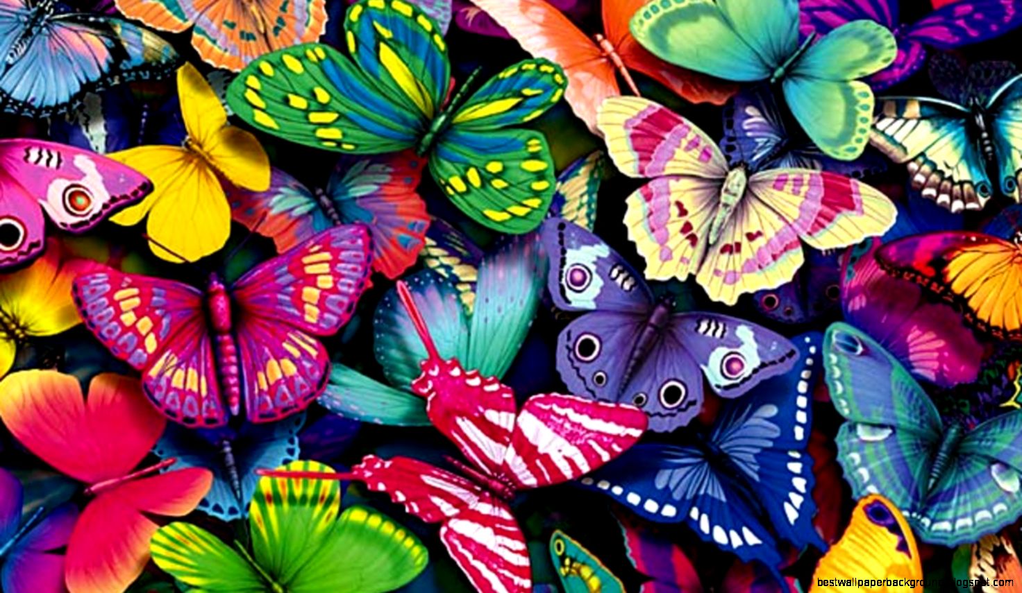 Butterfly Wallpaper HD Butterfly Wallpaper HD