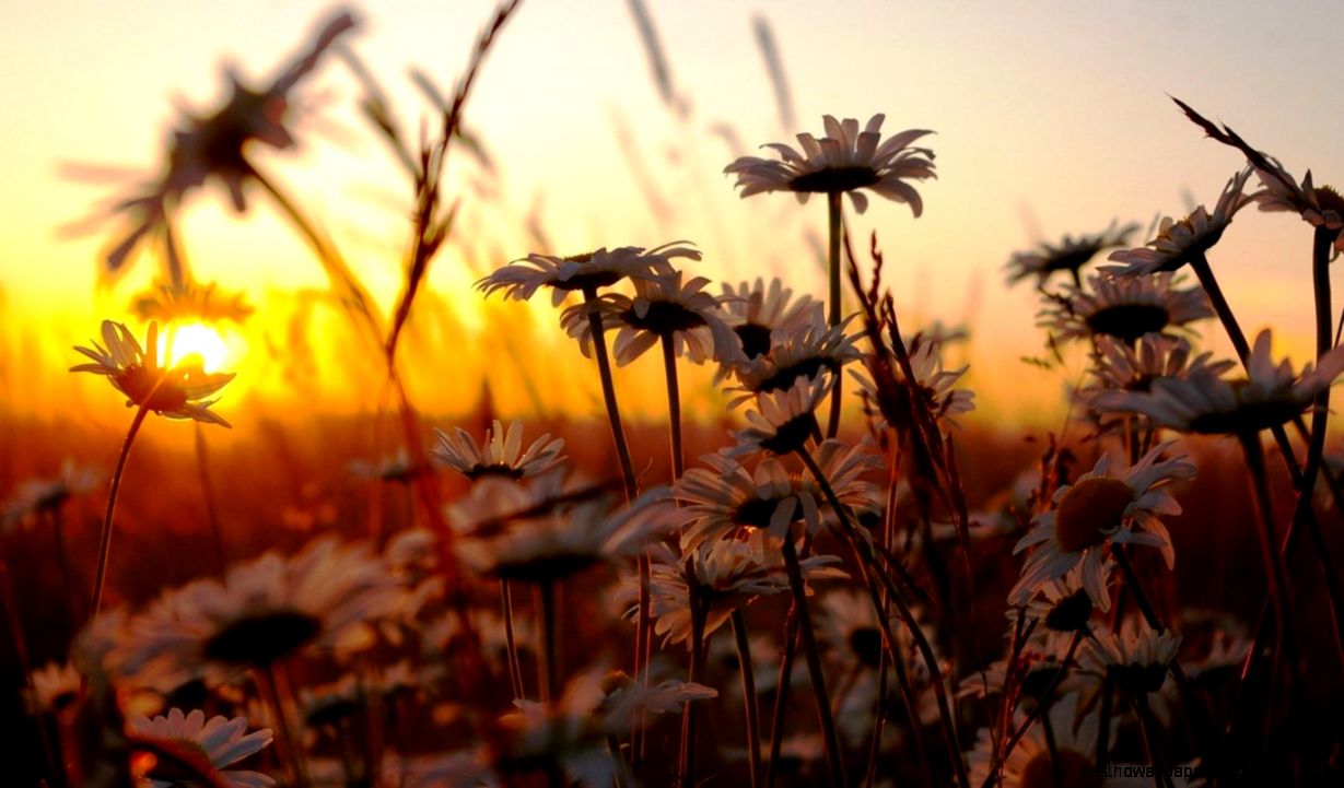 Wallpapers Business Performance Http Media Cache Ec Pinterest Com Wallpapers Business Performance Http Media Cache Ec Pinterest Com