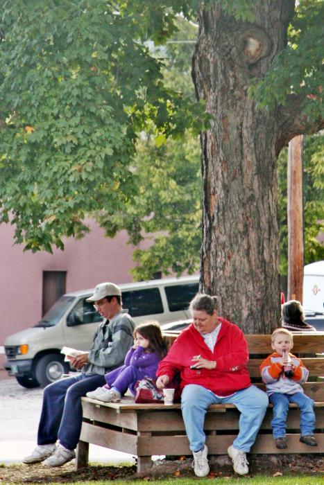 Benches Around Trees