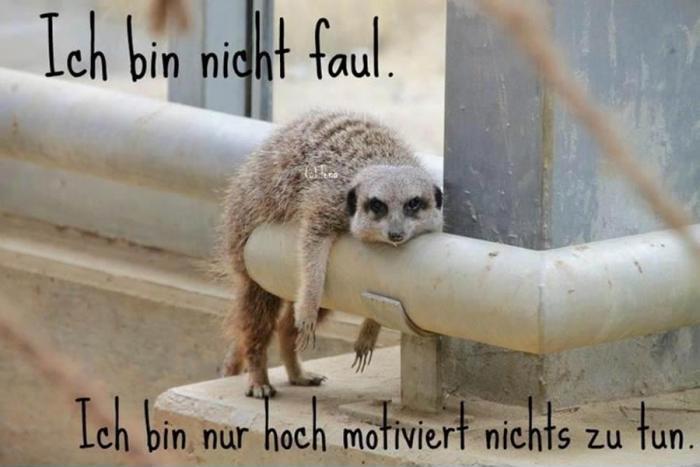 Das Leben ist Bunt Unsinn in Bild und Schrift