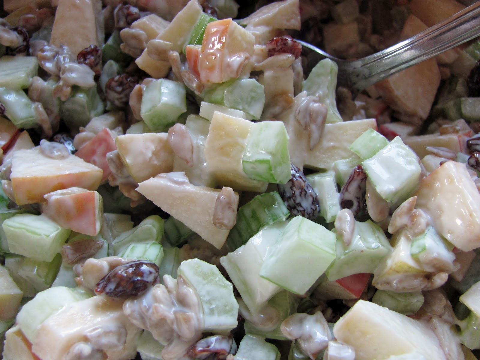 Apple, Celery and Raisin Salad Nourishing Minimalism