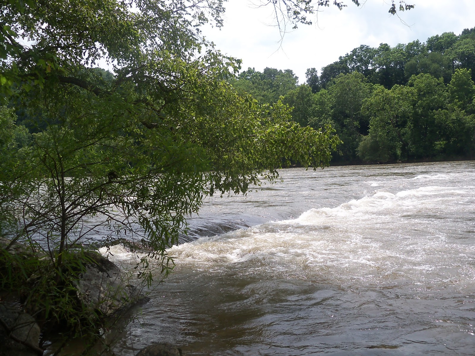 My Really, Real Reality Road Trip French Broad River