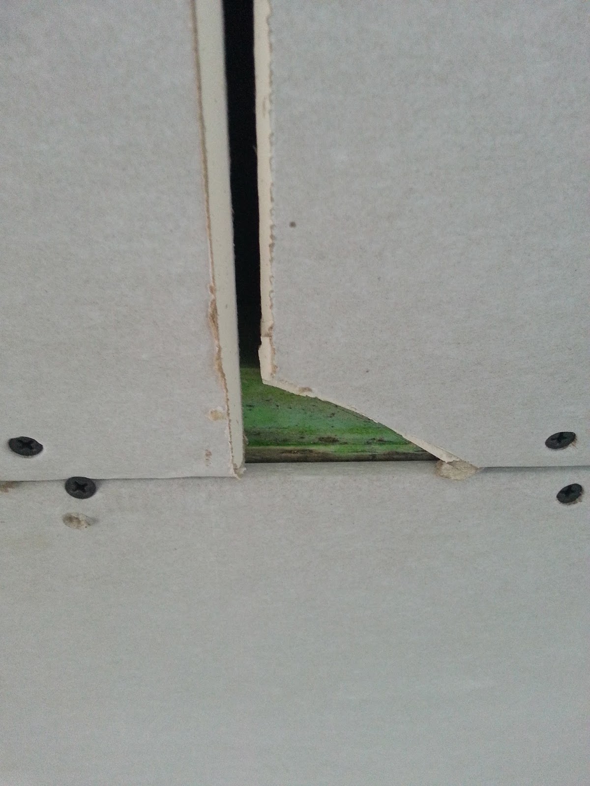 Ralf & Natalie's Baublog: Trockenbau abgeschlossen & Garagentor eingebaut