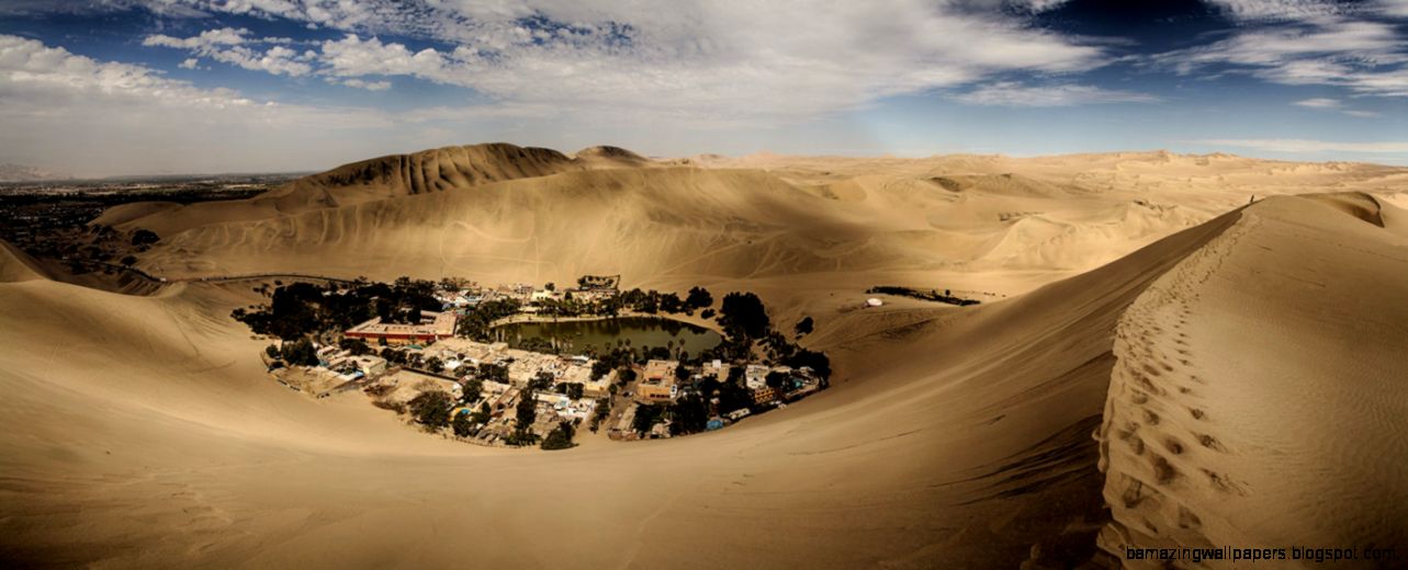 Desert Oasis by scwl on DeviantArt Desert Oasis by scwl on DeviantArt