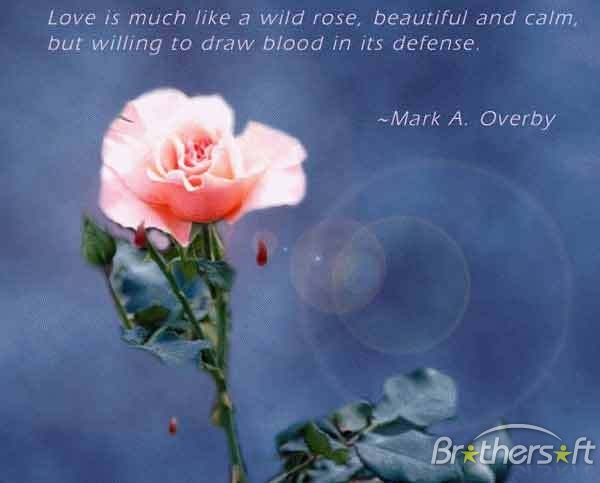love sayings love sayings