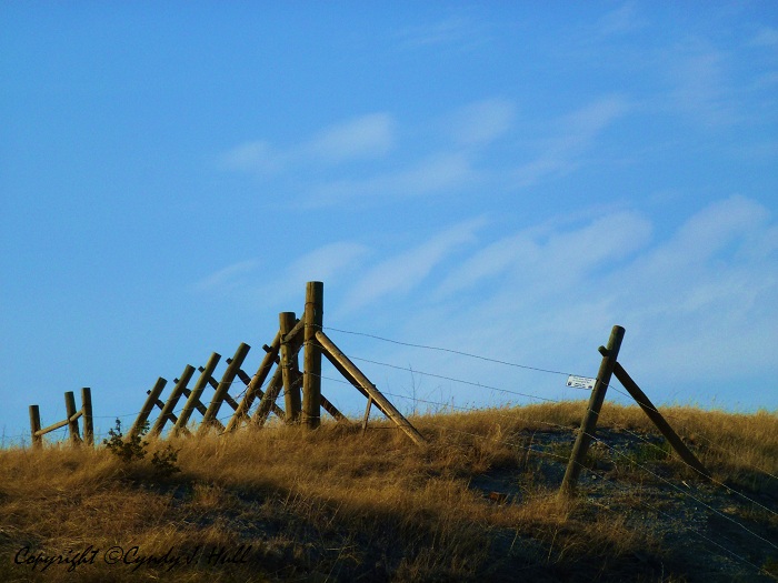 Montana 1 a Cross Purposes, Ulm, Montana