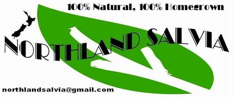 Buy Online Thunderbird Herbal Extract Salvia divinorum New Zealand N.Z,