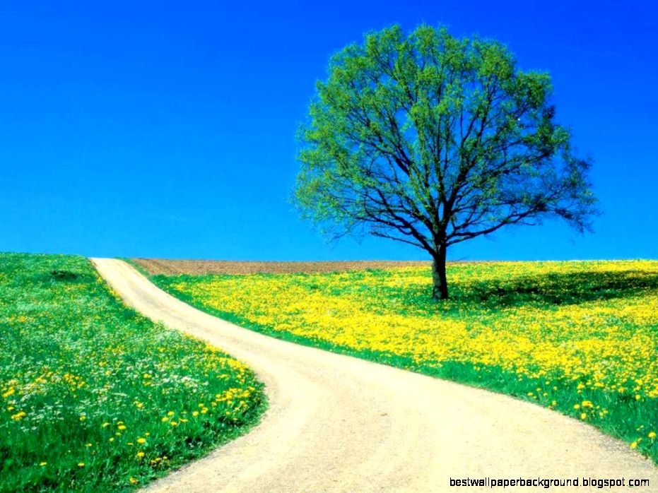 Nature Wallpaper HD  Download HD Wallpapers Nature Wallpaper HD  Download HD Wallpapers