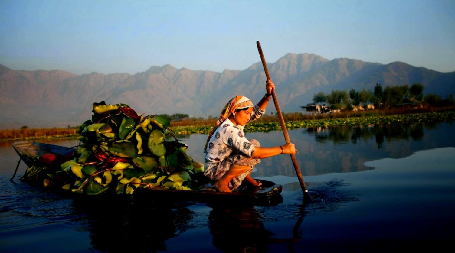 Dal Lake Jammu Kashmir Trip My India Dal Lake Jammu Kashmir Trip My India