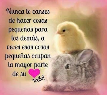 Resultado de imagen para refranes de amor para reflexionar