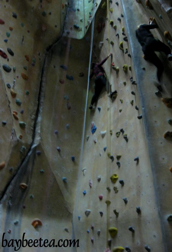 B A Y B E E T E A Hard Rock