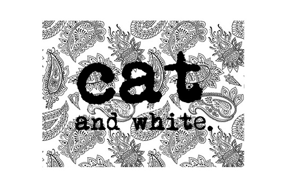 cat and white