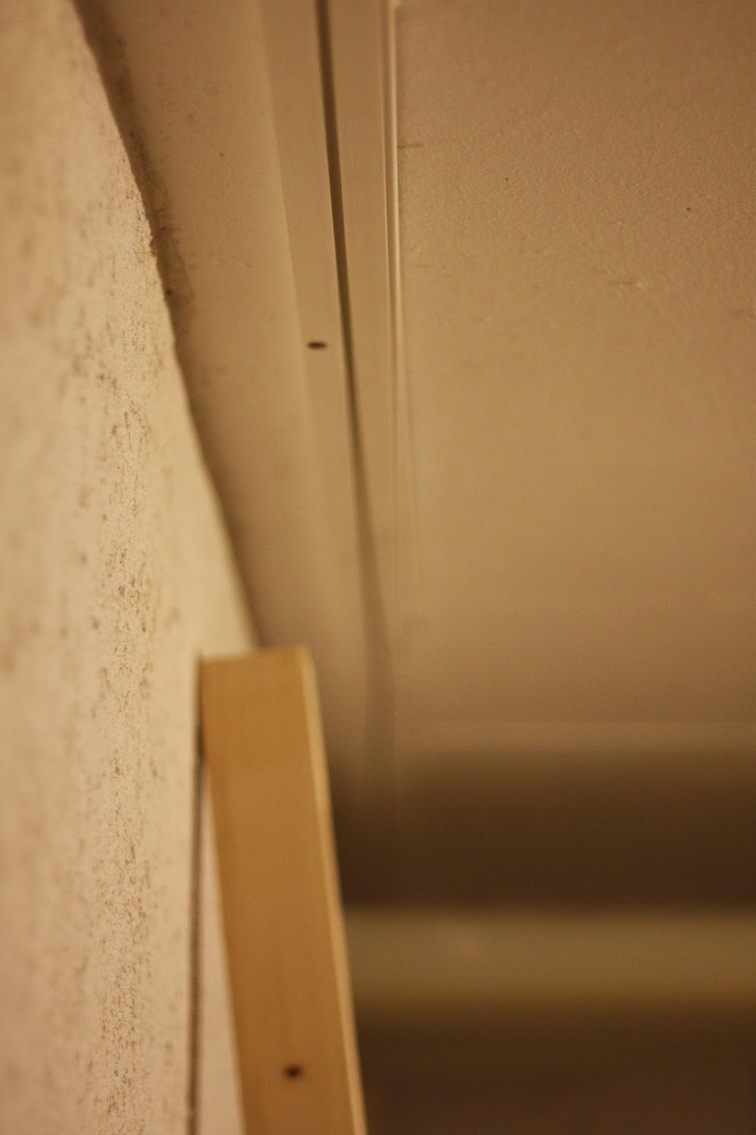 Baufortschritt Heimkino Im Keller Vorhangschienen Fertig Rahmen Fur Die Leinwand Im Entstehen