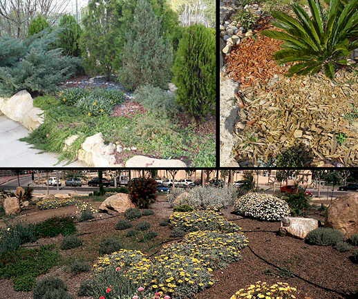 Yantra San Juan: Generando consciencia... El uso de agua en jardines