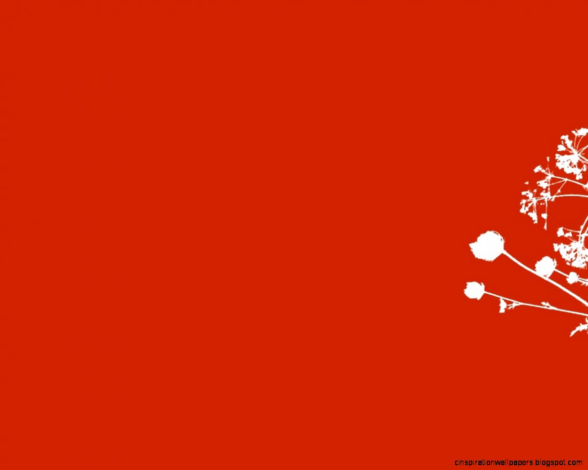 Wall red flowers wallpapers Wall red flowers stock photos Wall red flowers wallpapers Wall red flowers stock photos