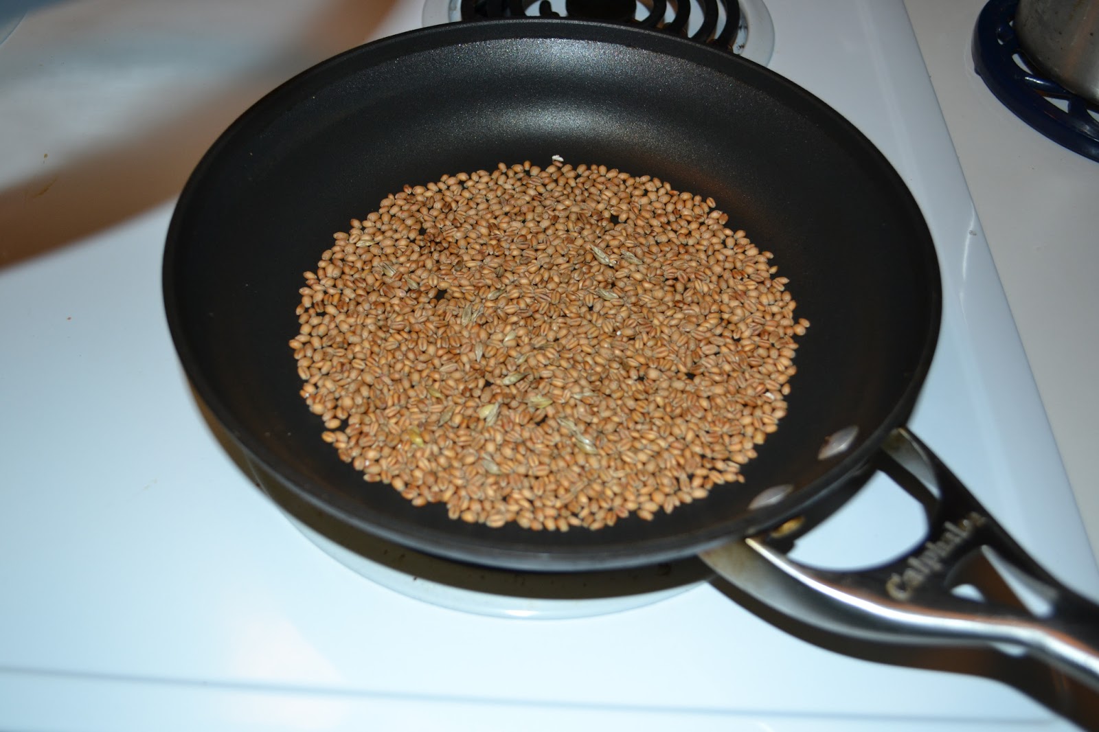 CSA Wednesdays Kale, Zucchini, and Squash Quiche and Wheat Berry