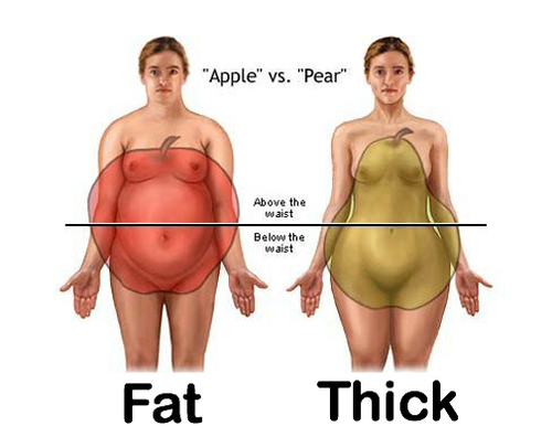 fat+vs+thick.jpg