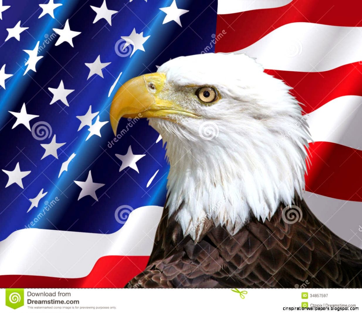 American Eagle Background Royalty Free Stock Photo Image 13953335 American Eagle Background Royalty Free Stock Photo Image 13953335