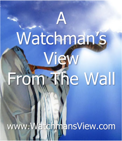 The Watchmen's View From The Wall Website