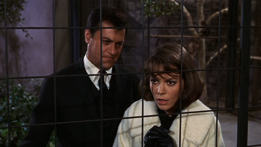 Common Sense Movie Reviews Sex And The Single Girl 1964