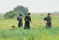 Монахи косят сено