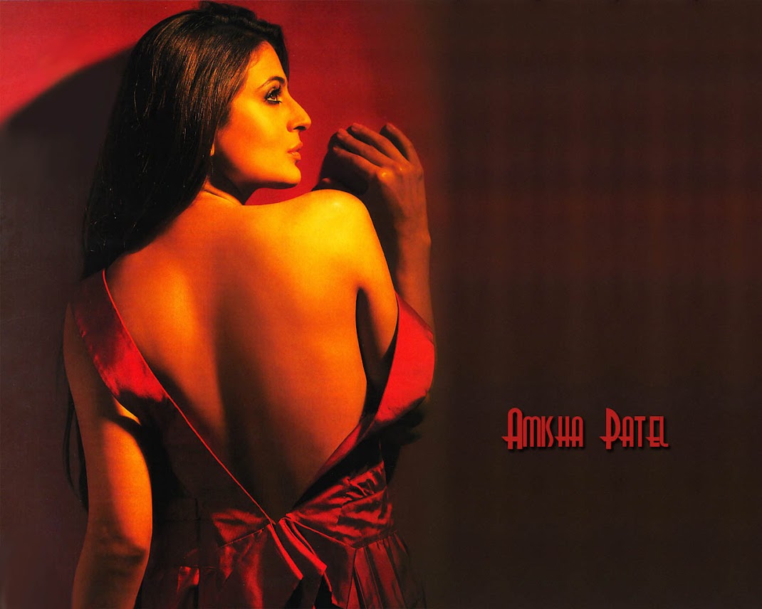 Amisha Patel Hot Wallpapers