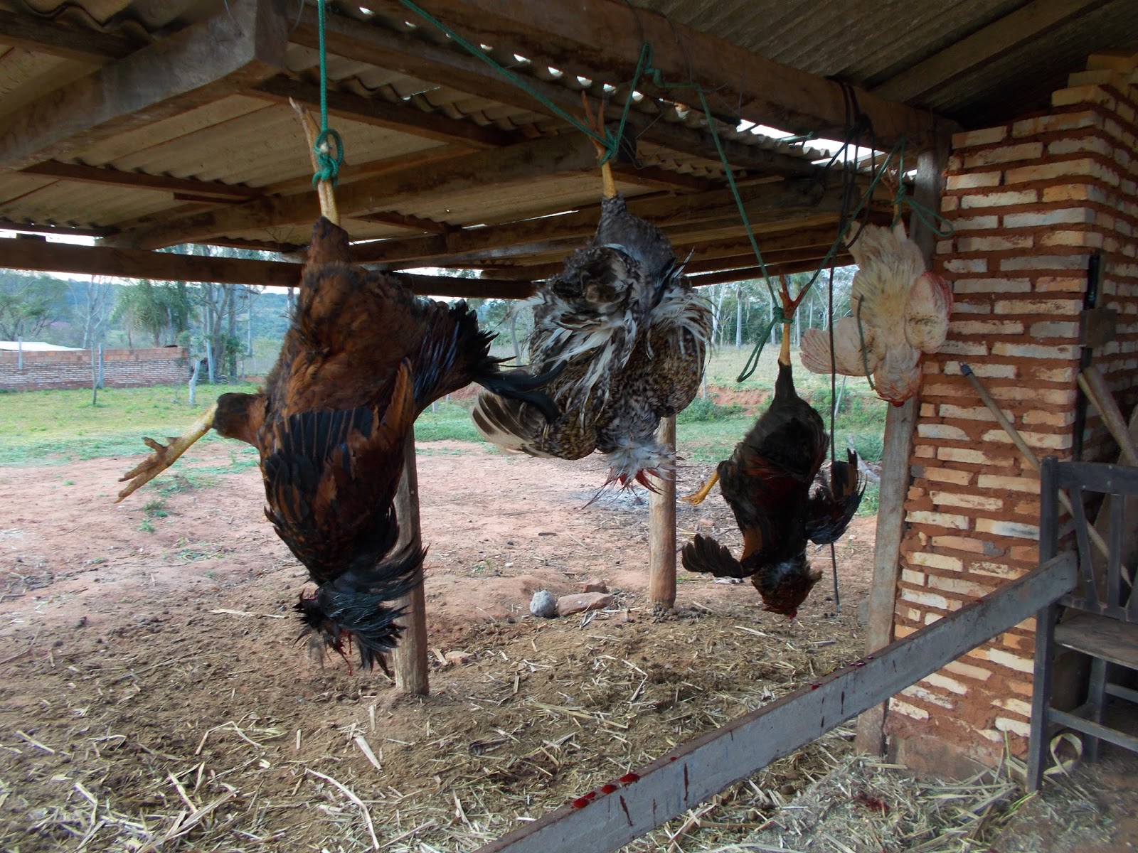 Lustigebilder Lustige Bilder Suppentopf