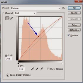 Membuat Efek Retro dan Vintage dengan Photoshop