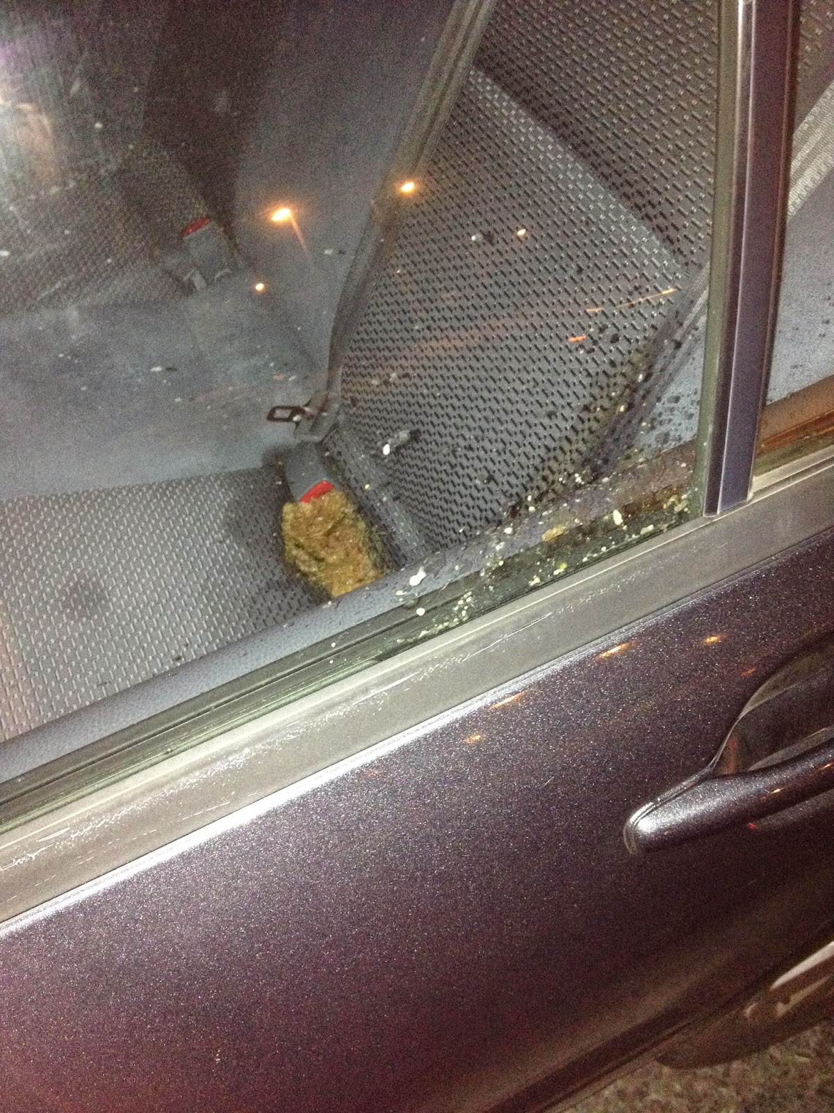 Ridesharing.Work Uber Driver used old Lyft vomit images as his own to