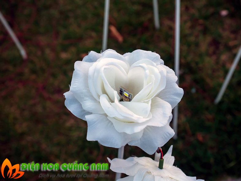 [Image: Kham-pha-vuon-hoa-hong-den-LED-o-Han-Quoc-2.png]