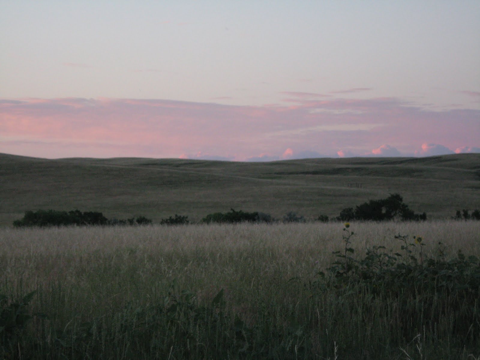 One Month on the Pine Ridge Reservation Tour of Pine Ridge Village