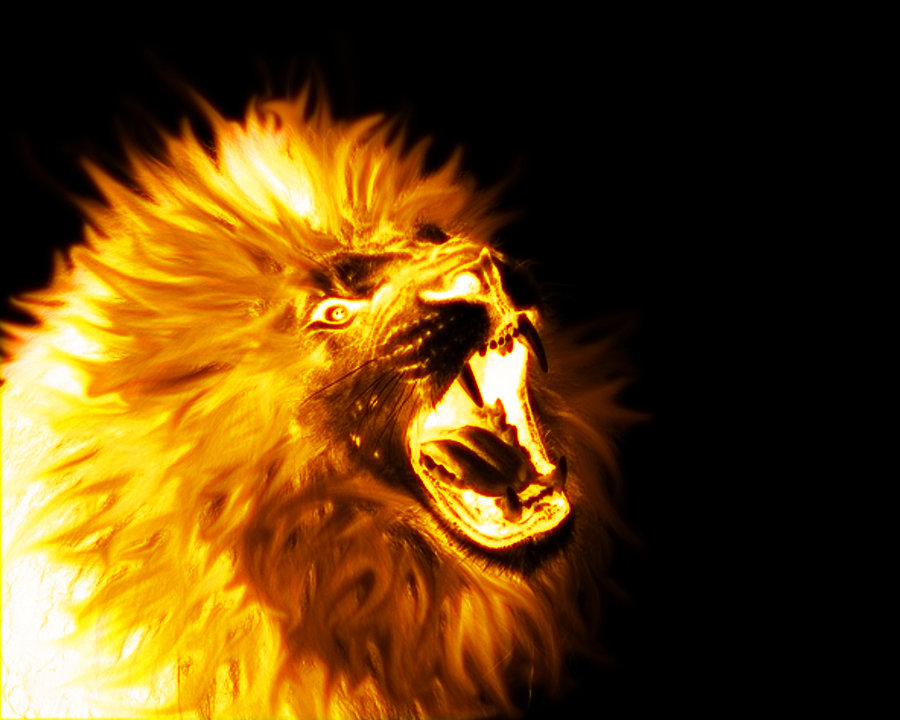 Lion On Fire