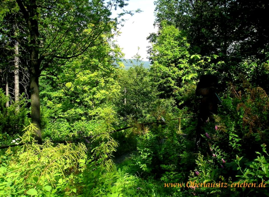 1024X768 Wallpaper 1024X768 Wallpaper