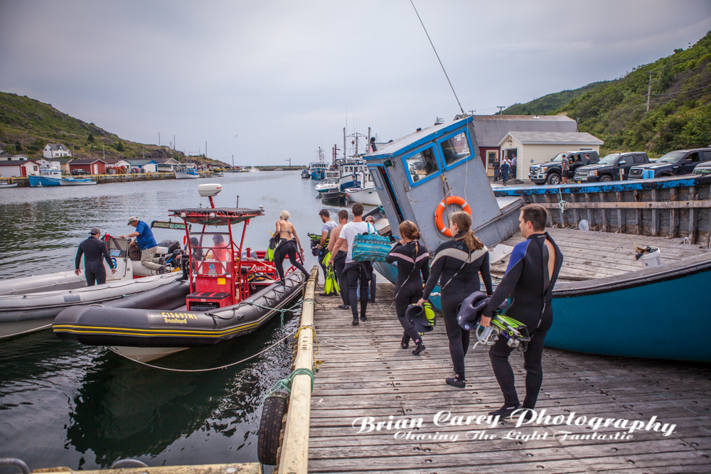 photography by Brian Carey, St John's, Newfoundland