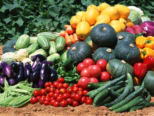 diferentes verduras de temporada