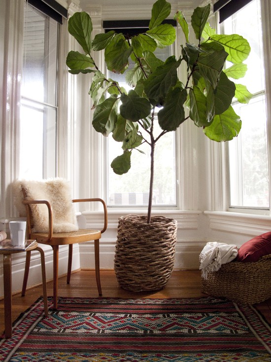 Brooklyn Modern