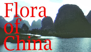 Flora of China