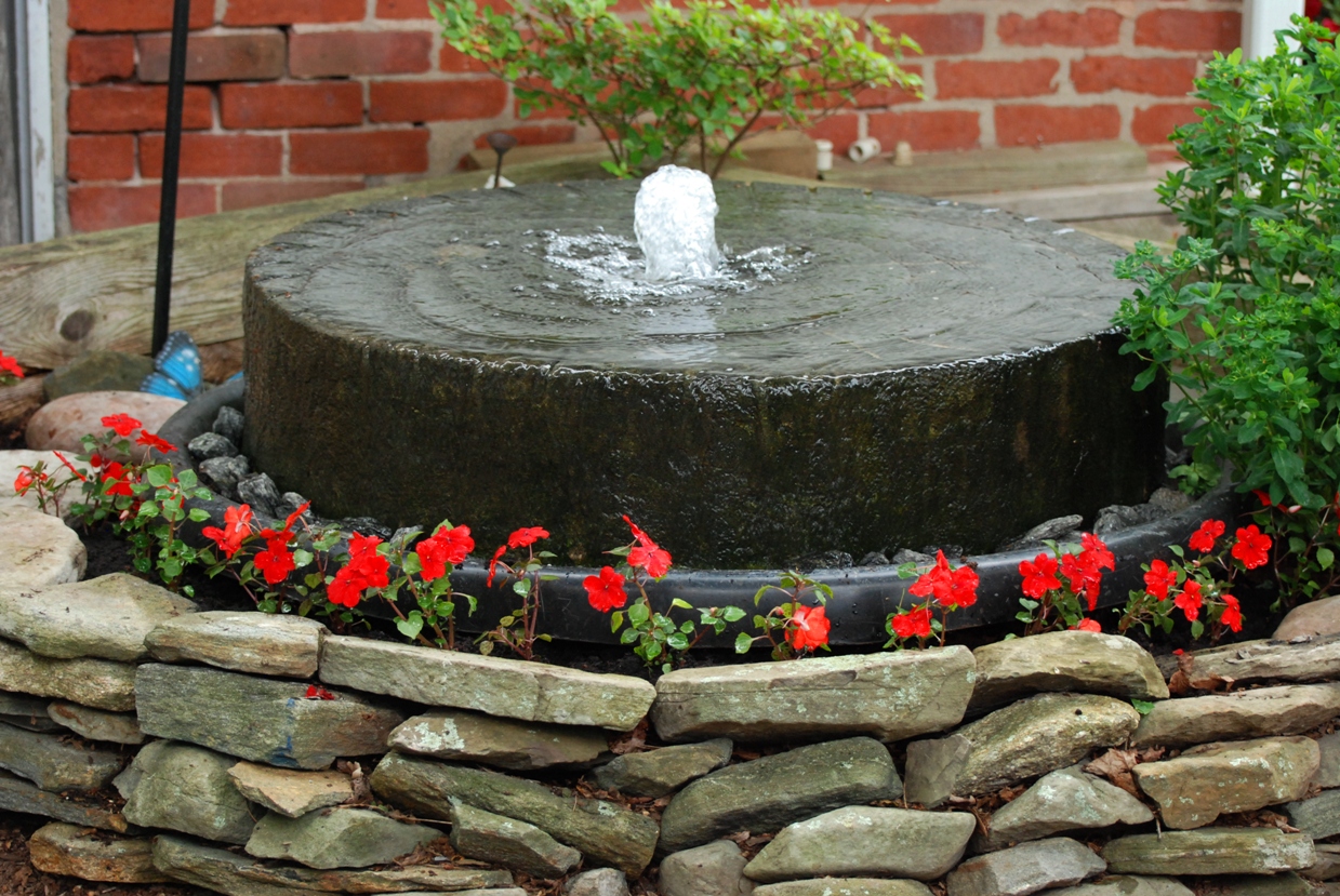 Birding Is Fun! Fun with Bathing Birds