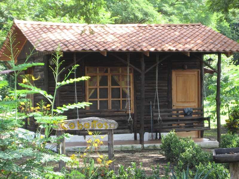 Deep into the Blue Zone in Costa Rica (Nicoya) Pura Vida Our Costa