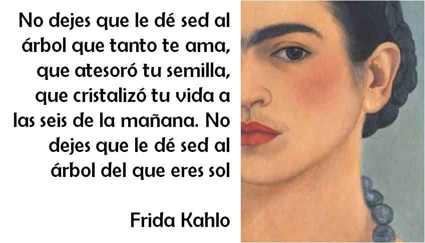 http://3.bp.blogspot.com/-nf3sDHmBViI/UQ8RV6dv4XI/AAAAAAAAASc/KAD_0SCdj0k/s1600/frida2.jpg