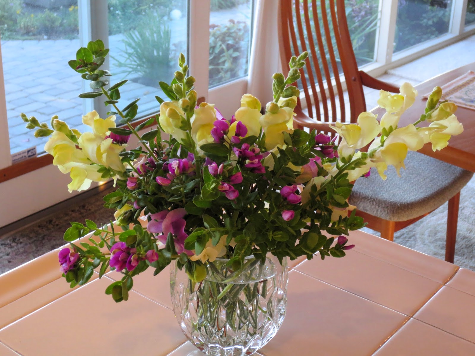 Amazon Com Butterfly Bushes Flowers Plants Seeds Bulbs