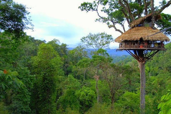 7 Rumah Pohon Paling Berbahaya