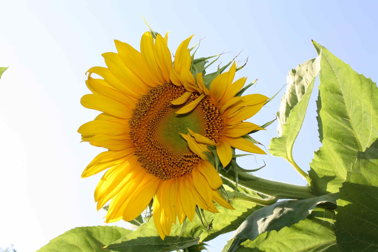 Gayle and Jaime in Kitchen