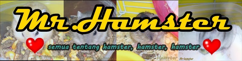 MR. HAMSTER