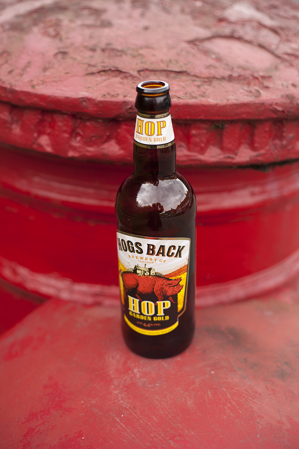 Reverend Beer Hog's Back Brewery, Hop Garden Gold