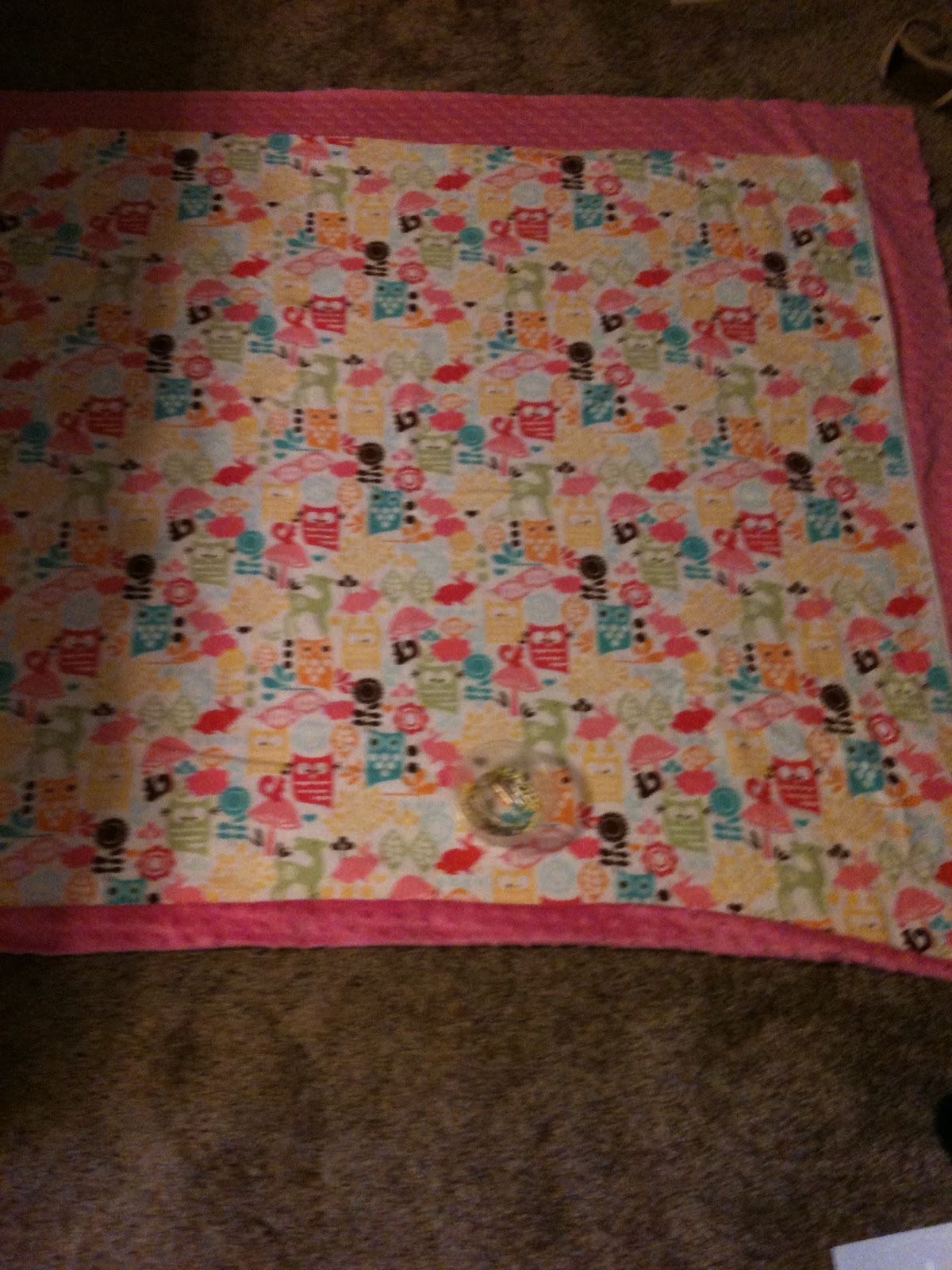 Do it Yourself Duo Minky Blankets